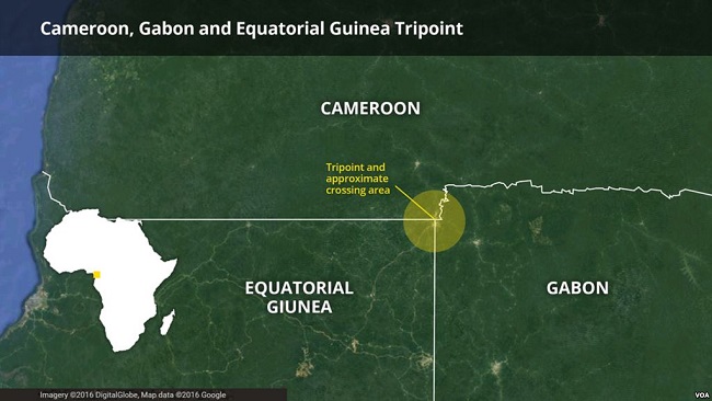 Border Shutdown Hurts Cameroon, Equatorial Guinea Business