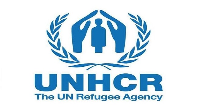 Yaounde forced several thousand refugees back to Nigeria: UN