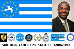 Ambazonian quest for independence: Why war remains a necessary evil