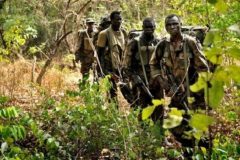 Amba Tigers Southern Cameroons Crisis: Gunmen abduct Camwater official