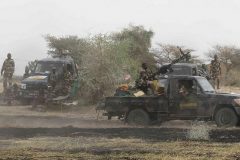 Cameroon and Chad government troops free scores of hostages