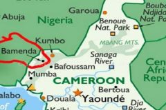Bamenda Ambazonia Crisis: Medical Doctor shot in Bamenda