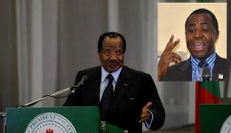 Southern Cameroons Crisis: Biya regime and the IG have a chance for a ceasefire as AFCON kicks-off