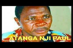 Southern Cameroons Crisis: Atanga Nji gets a taste of American disappointment