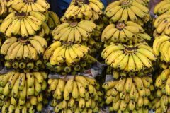 Banana CDC banana exports hit 10,400 tons in Q1 2025