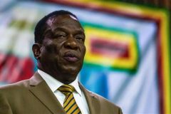 Crocodile Zimbabwe: The Crocodile says elections to hold in July