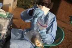Lassa fever Nigeria: Death toll from Lassa fever reaches 72