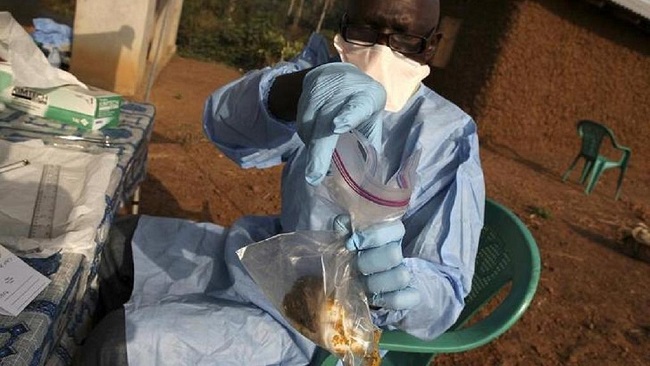 Nigeria: Death toll from Lassa fever reaches 72