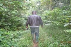 Battle For Ambazonia: Bad Amba, Good Amba-A Bayen Warzone Report