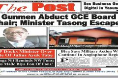 The Post Southern Cameroons Crisis: At your own risk