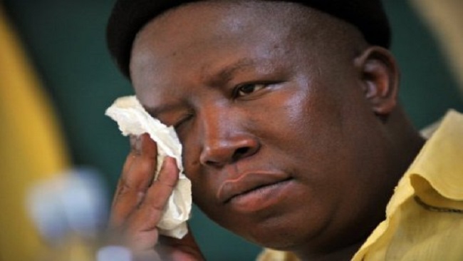 Winnie Mandela Tribute: Julius Malema says Mother of the Nation should have been president