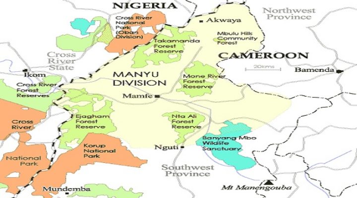 Manyu from MECA to MECDA: a call for unity, continuity and respect for legacy