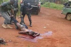 French Cameroun MPs pass devolution bill for Anglophone regions