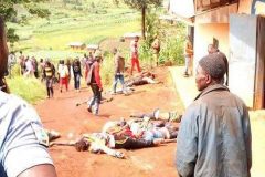Southern Cameroons Crisis: 8 more bodies found in Menka-Pinyin