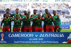 Lions 2022 World Cup qualifiers: Nigeria Football Federation in talks with FECAFOOT