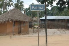 Mozambique: Suspected militants behead 10 people