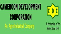 CDC posts 24.9 billion CFA turnover in 2025 despite Ambazonia disruptions