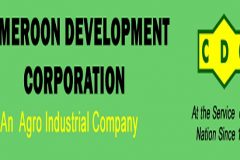 Southern Cameroons Crisis: CDC secures CFA4.6 bln loan to modernize processing plants