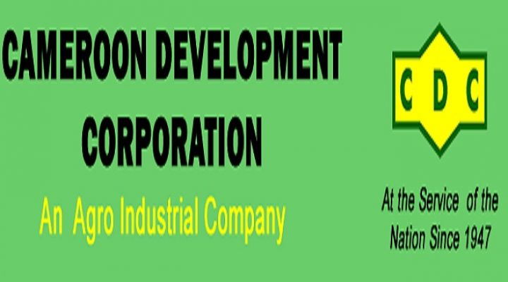 CDC posts 24.9 billion CFA turnover in 2025 despite Ambazonia disruptions