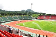 As Cameroon prepares for the African Cup of Nations, trees fall
