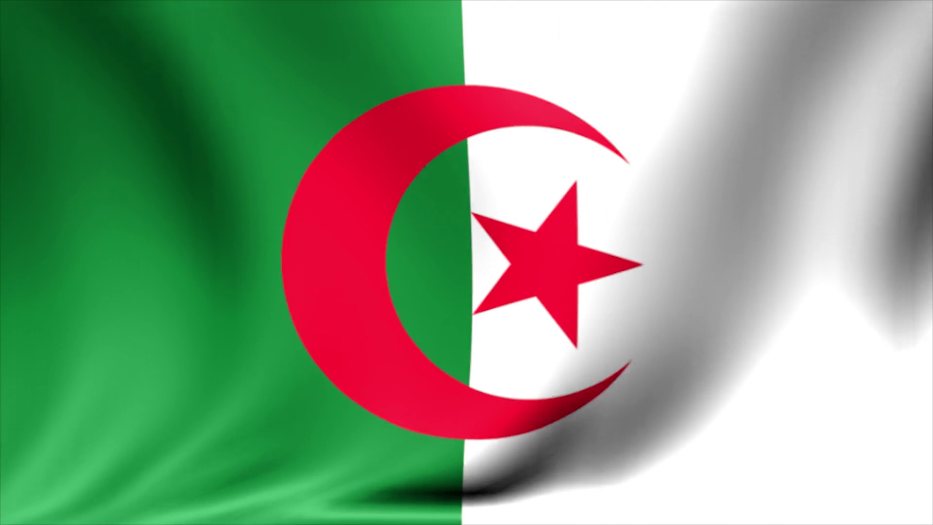 Seven Islamist militants surrender in southern Algeria