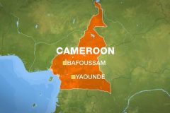 Dozens die in Cameroon bus accident