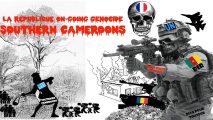 Southern Cameroons Crisis: rising violence threatens school reopening