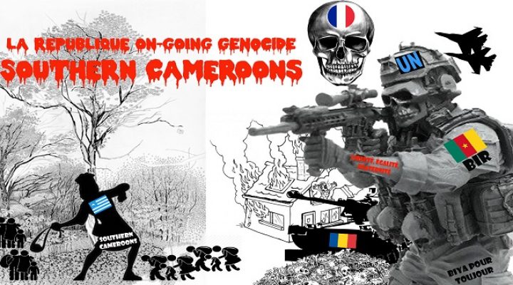 Southern Cameroons Crisis: rising violence threatens school reopening