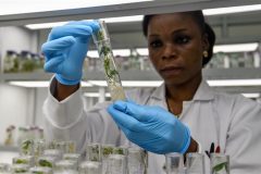 WHO official downplays new IHU COVID variant “probably” originated in Cameroon