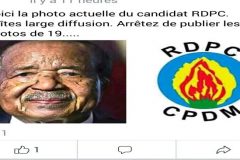 CPDM Crime Syndicate: Biya sets Feb. 9, 2020 for parliamentary and municipal polls