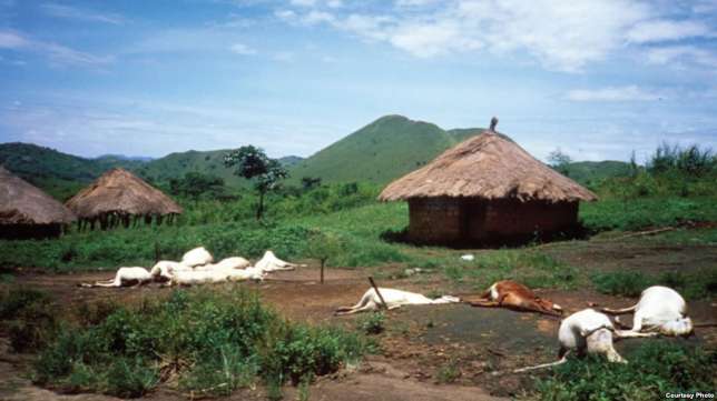 Do you know that a volcanic eruption in Southern Cameroons once killed over 1700 people?