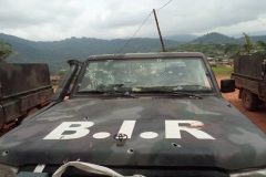 Red Dragons ambush Africa Should Not Fail Cameroon