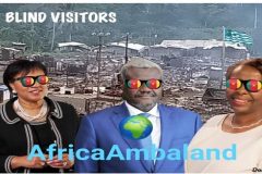 Southern Cameroons Crisis: Commonwealth, AU, OIF Call for Peace and Unity