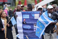 Southern Cameroons special status – too little, too late?