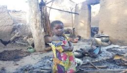 Ambazonia crisis marks 10 years: Rights Groups release list of 4,000 deaths