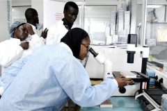 WHO and Africa WHO warns African health systems ill-equipped to respond to coronavirus outbreak