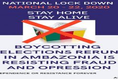 Amba boycott of re-run Southern Cameroonians to boycott Cameroon gov’t elections re-run