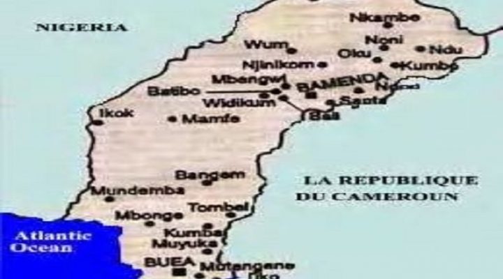 Southern Cameroons Crisis: Situation Report