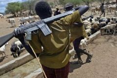 Fulani against Ambaboys: Southern Cameroons expanding deadly conflict