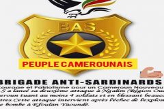 Brigade Anti-Sardinards, Ambazonians making life very difficult for Biya and other CPDM criminals who travel