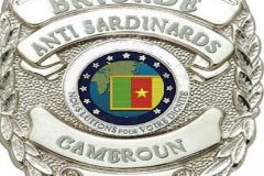 brigardesantisardinards Francophone Crisis: Cameroon faces more challenging times as BAS attack opens a new front in the instability rocking the nation