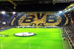 Dortmund Football Stadium Coronavirus Pandemic: Dortmund football stadium to be used as medical centre