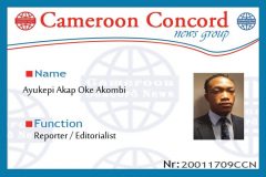 Ayukepi press card Yaounde: Journalists Protest Harassment, Abusive Arrests