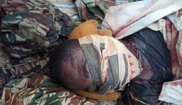 Southern Cameroons Crisis: 4 killed in bar shooting in Noni