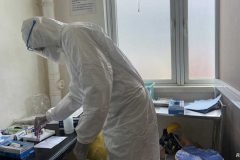 Outbreak of the coronavirus disease (COVID-19) in Douala Africa records surge in Covid-19 cases, but fewer deaths than before, says WHO