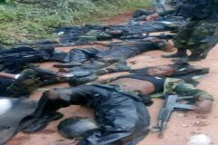 Bui amba killings Southern Cameroons Crisis: “Our job is to kill,” Amba commander says