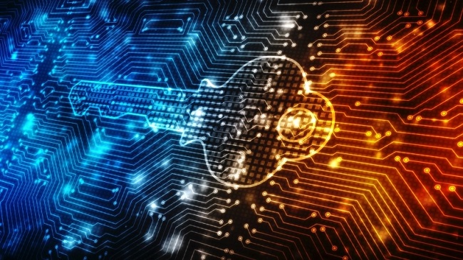 Biya regime implements new e-customs system