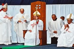 Archbishop Stephen Brislin South African Archbishop Stephen Brislin Calls on conflicting parties in Cameroon to adhere to UNSC Resolution 2532