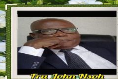 Fake-Ambazonian-leader Southern Cameroons Crisis: Fru John Nsoh Must Go Home