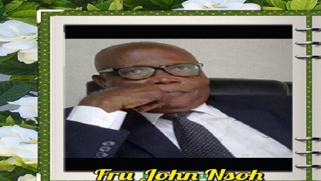 John Fru Nsoh: an empty suit, running and talking on empty should shut up!